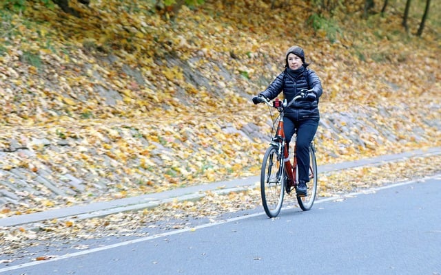 Free download woman bicycling bike ride autumn free picture to be edited with GIMP free online image editor