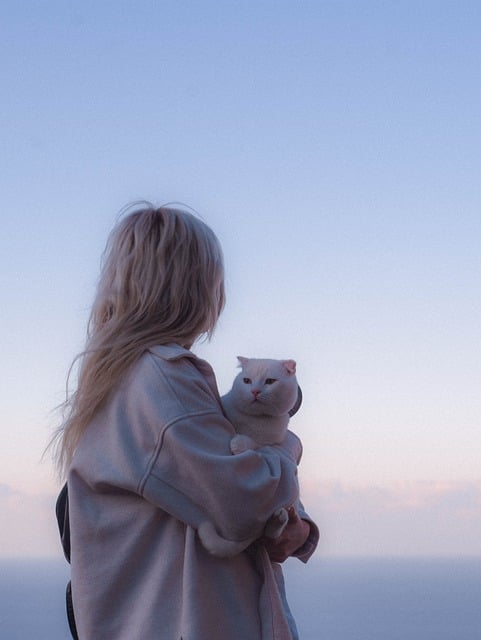 Free download woman cat sea ocean beach water free picture to be edited with GIMP free online image editor