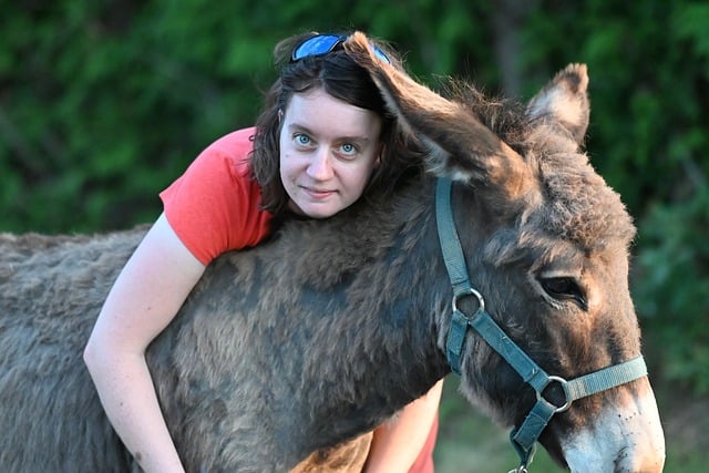 Free download woman donkey affection tenderness free picture to be edited with GIMP free online image editor