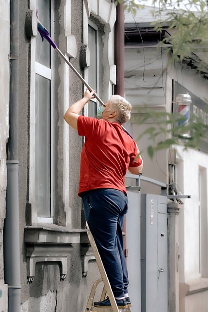 Free download woman elderly standing ladder free picture to be edited with GIMP free online image editor