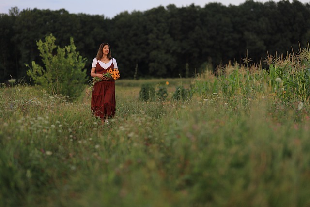 Free download woman flowers sundress grass free picture to be edited with GIMP free online image editor