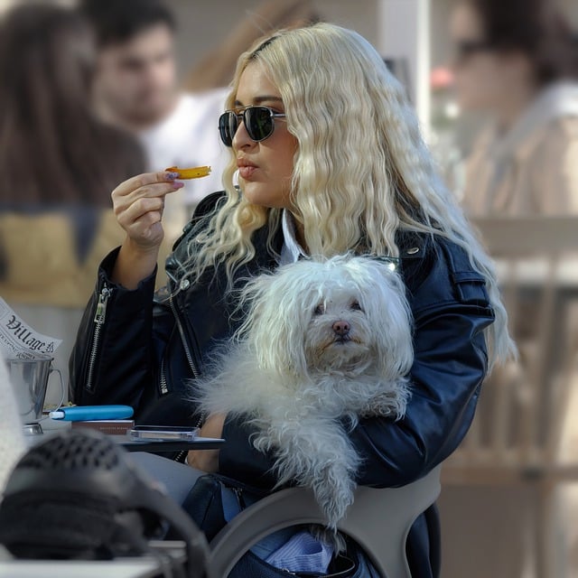 Free download woman girlie dog pet white fur free picture to be edited with GIMP free online image editor