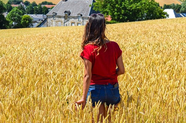 הורדה חינם Woman Grain Field - תמונה או תמונה בחינם לעריכה עם עורך התמונות המקוון GIMP