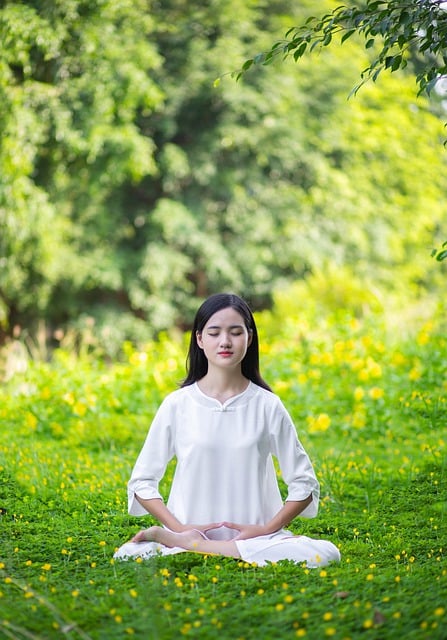 Free download woman grass meditation meditate free picture to be edited with GIMP free online image editor