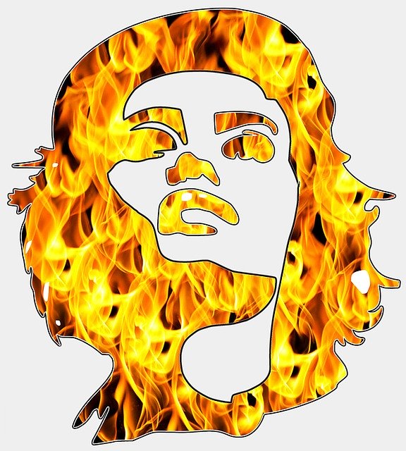 Silhouette Clip nghệ thuật Head shot Vector đồ họa Hình ảnh  fawn bóng png  đầu bóng png tải về  Miễn phí trong suốt đối Mặt png Tải về