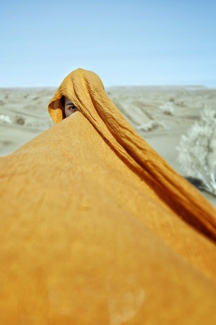 Free download woman hijab eye orange look free picture to be edited with GIMP free online image editor