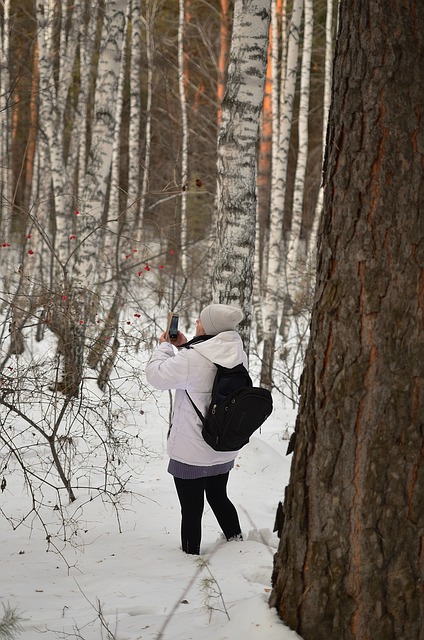 Free download woman hiking forest winter snow free picture to be edited with GIMP free online image editor