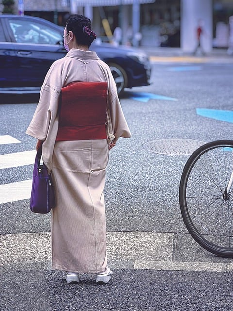 Free download woman kimono road bunkyo city free picture to be edited with GIMP free online image editor