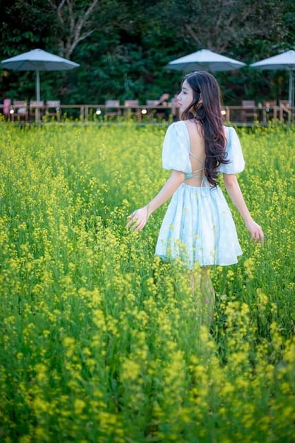Free download woman meadow flowers model nature free picture to be edited with GIMP free online image editor
