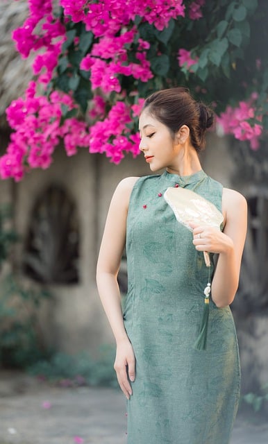 Free download woman model aodai vietnamese free picture to be edited with GIMP free online image editor