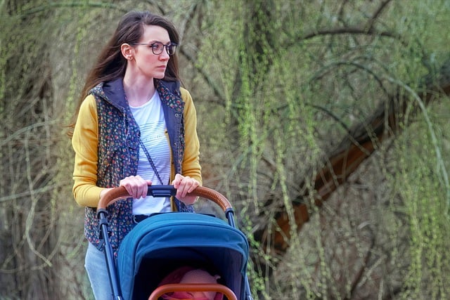 Free download woman mother stroller baby walking free picture to be edited with GIMP free online image editor