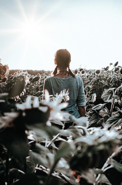 Free download woman pigtails flowers sunflowers free picture to be edited with GIMP free online image editor