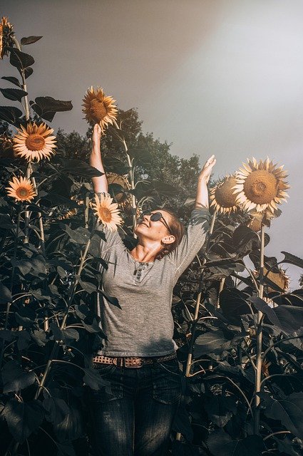 Free download woman pigtails sunflowers flowers free picture to be edited with GIMP free online image editor