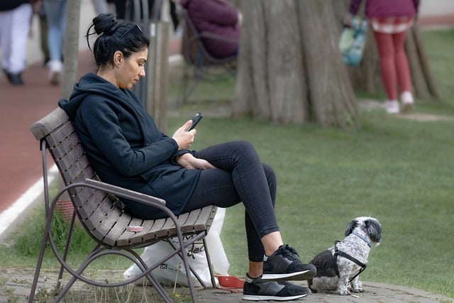 Free download woman smartphone sitting park bench free picture to be edited with GIMP free online image editor