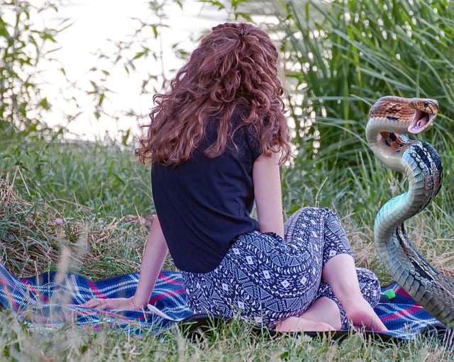 Free download woman snake picnic wilderness free picture to be edited with GIMP free online image editor