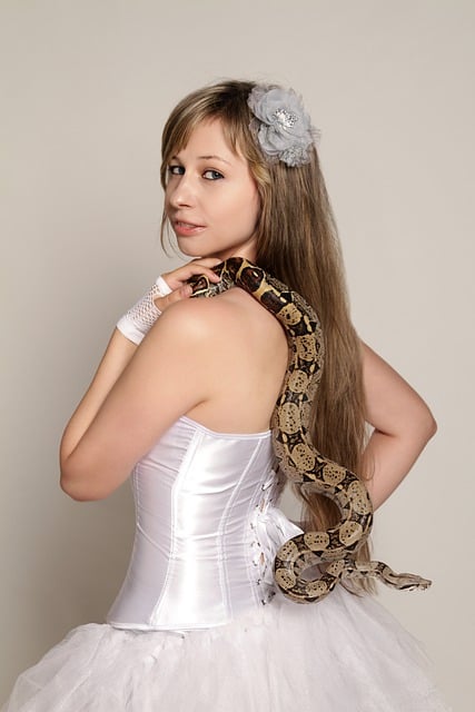 Free download woman snake python long hair tamer free picture to be edited with GIMP free online image editor