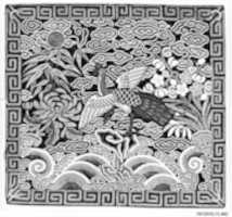 Free download Womans Rank Badge with Peacock free photo or picture to be edited with GIMP online image editor