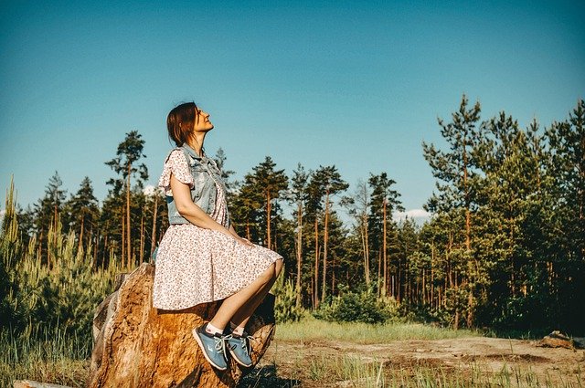 Free download woman stump sitting pose nature free picture to be edited with GIMP free online image editor