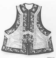 Free download Womans Vest free photo or picture to be edited with GIMP online image editor