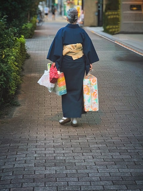 Free download woman traditional dress kimono bags free picture to be edited with GIMP free online image editor