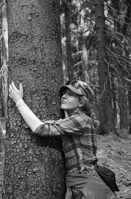 Free download woman tree hug portrait monochrome free picture to be edited with GIMP free online image editor