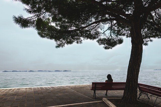 免费下载女人树视图 - 使用 GIMP 在线图像编辑器编辑的免费照片或图片