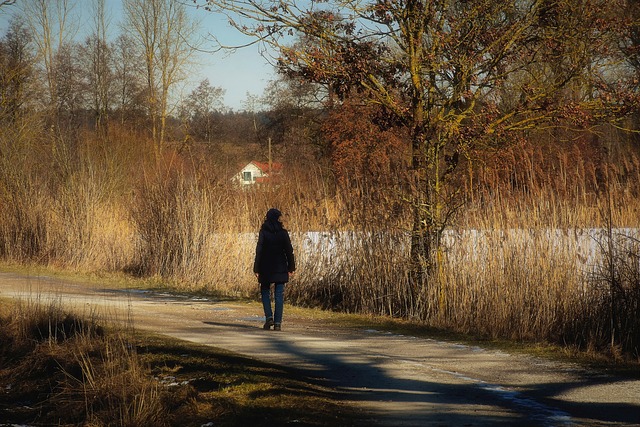 Безкоштовно завантажте безкоштовний шаблон фотографій Woman Walk Winter для редагування в онлайн-редакторі зображень GIMP