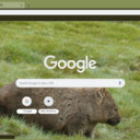 Wombat  screen for extension Chrome web store in OffiDocs Chromium