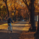 women cycling  screen for extension Chrome web store in OffiDocs Chromium