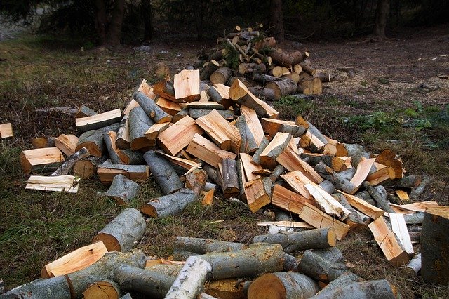 무료 다운로드 Wood Chopped Mowing - 무료 무료 사진 또는 GIMP 온라인 이미지 편집기로 편집할 수 있는 사진