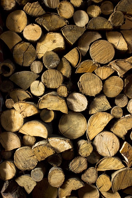Free download wood chopped wood axe lumberjack free picture to be edited with GIMP free online image editor
