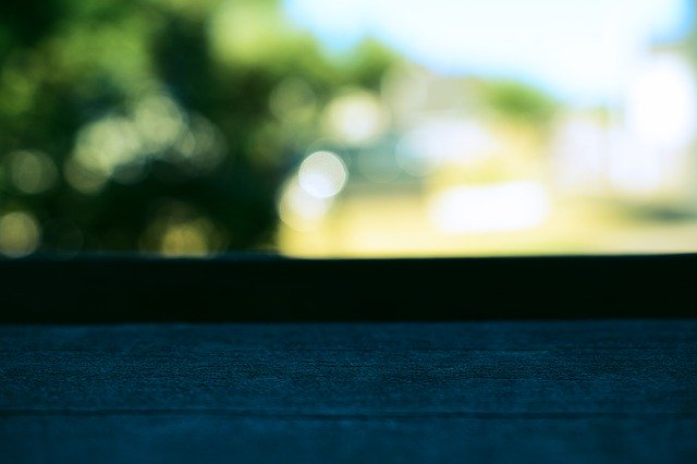 Free download Wood Edge Macro -  free photo or picture to be edited with GIMP online image editor
