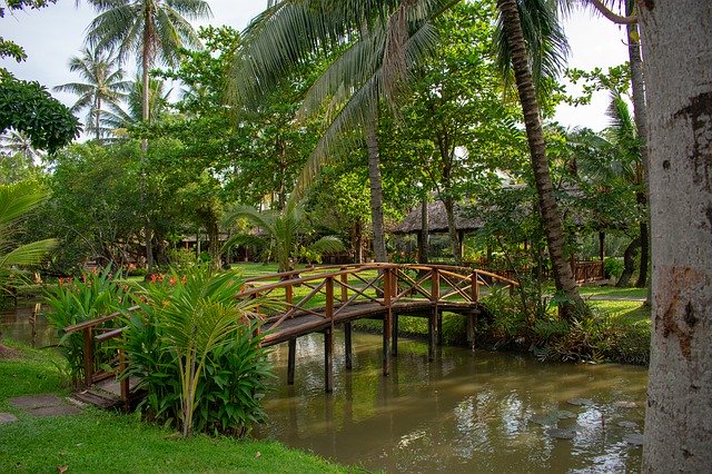 Free download Wooden Bridge Green -  free free photo or picture to be edited with GIMP online image editor