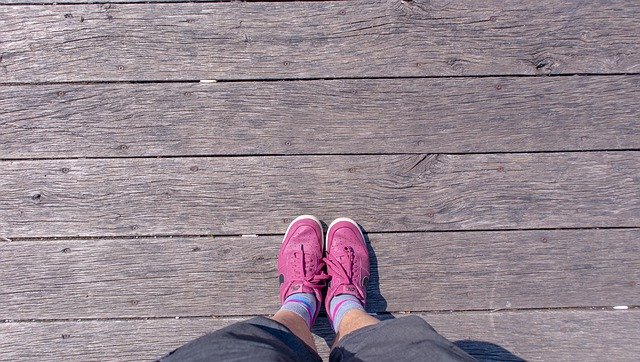 Free download Wooden Bridge Path -  free photo or picture to be edited with GIMP online image editor