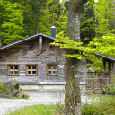 Wooden house in the forest  screen for extension Chrome web store in OffiDocs Chromium