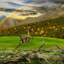 Wooden hut covered with green  screen for extension Chrome web store in OffiDocs Chromium