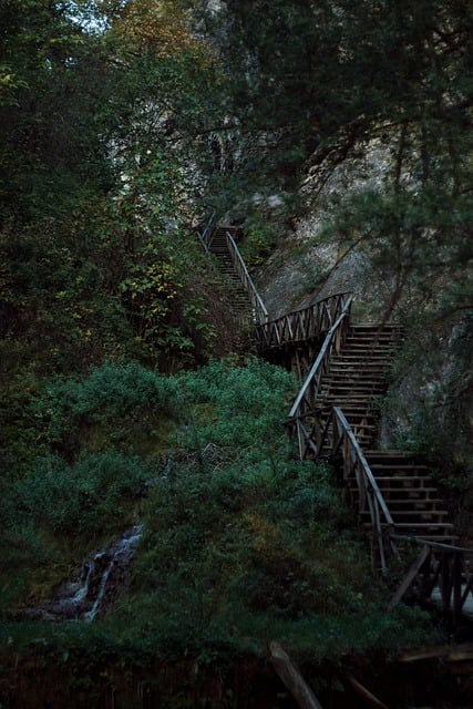 Free download wooden stairs forest woods free picture to be edited with GIMP free online image editor