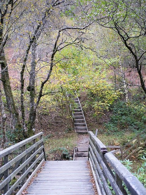 Téléchargement gratuit Marches en bois Bois - photo ou image gratuite à éditer avec l'éditeur d'images en ligne GIMP