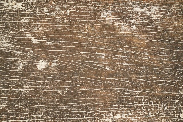 Téléchargement gratuit de planches en fibre de bois Texture Wood - photo ou image gratuite à éditer avec l'éditeur d'images en ligne GIMP