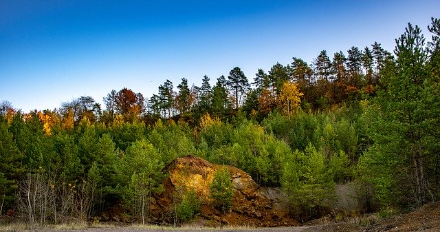 ดาวน์โหลดฟรี Wood Forest Nature - ภาพถ่ายหรือรูปภาพฟรีที่จะแก้ไขด้วยโปรแกรมแก้ไขรูปภาพออนไลน์ GIMP