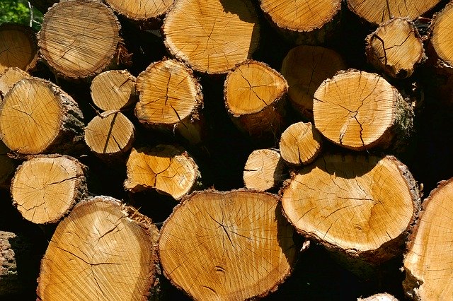 הורדה חינם Wood Holzstapel Tree Trunks - תמונה או תמונה בחינם לעריכה עם עורך התמונות המקוון GIMP