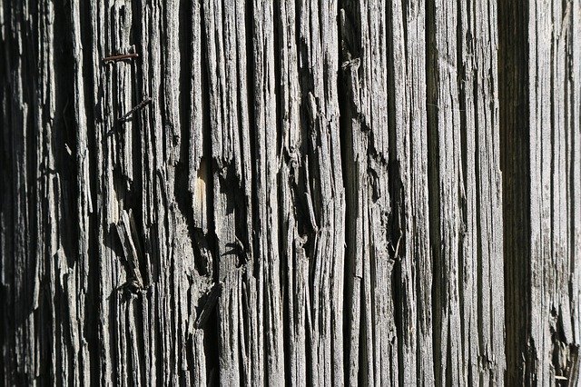 Free download Wood Material Nature -  free photo or picture to be edited with GIMP online image editor
