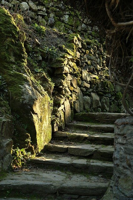 Muat turun percuma Woods Forest Stone Stairs Mossy - foto atau gambar percuma untuk diedit dengan editor imej dalam talian GIMP