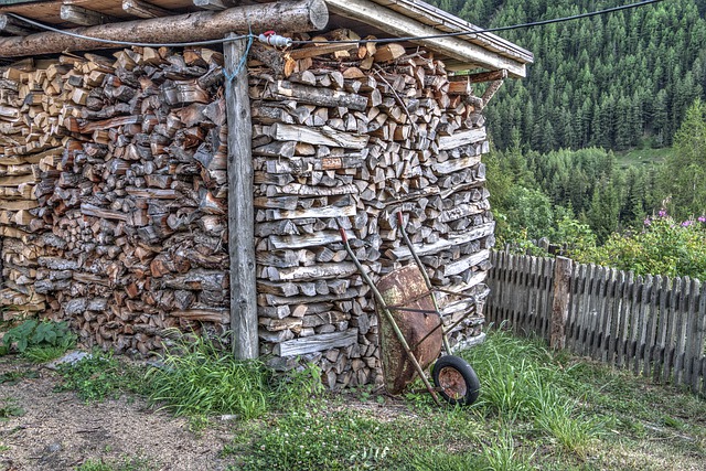 Free download woodshed firewood timber free picture to be edited with GIMP free online image editor