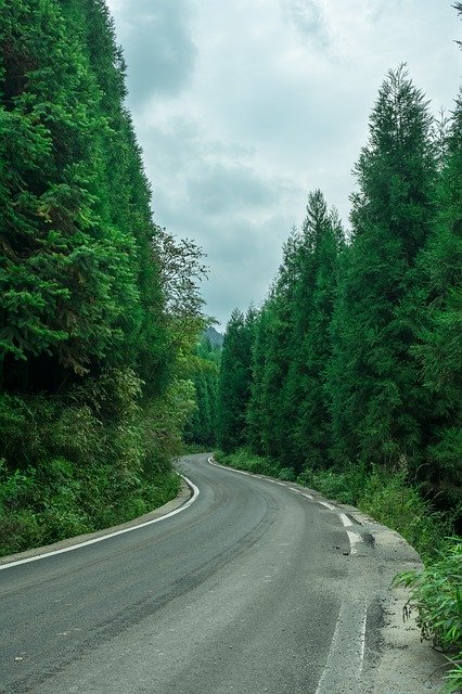 Descarga gratuita Woods Highway At The End: foto o imagen gratuita para editar con el editor de imágenes en línea GIMP