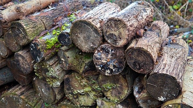 無料ダウンロード Wood Stack - GIMP オンライン画像エディターで編集できる無料の写真または画像