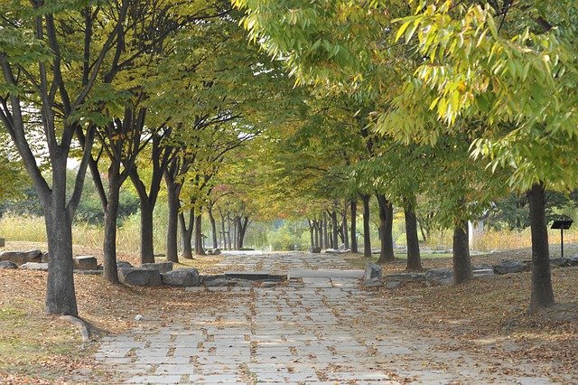 ດາວໂຫລດຟຣີ Wood Stone Abstract Incheon Grand - ຮູບພາບຫຼືຮູບພາບທີ່ບໍ່ເສຍຄ່າເພື່ອແກ້ໄຂດ້ວຍບັນນາທິການຮູບພາບອອນໄລນ໌ GIMP