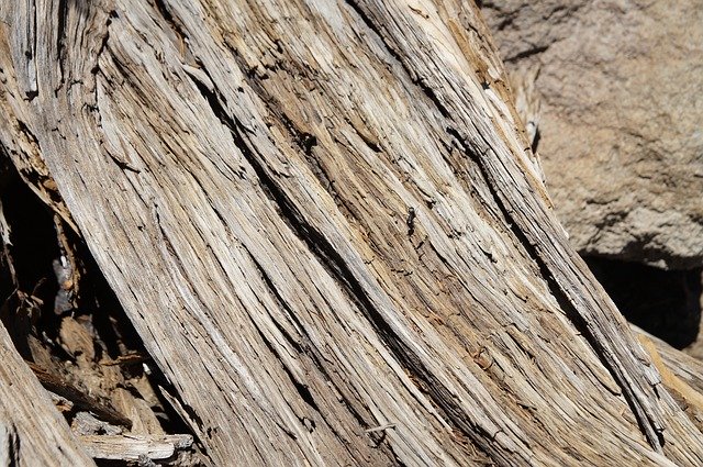 Free download Wood Structure Grain -  free photo or picture to be edited with GIMP online image editor