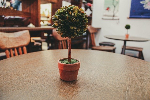 Бесплатно скачать Деревянный стол в кафе Деревянный - бесплатную фотографию или картинку для редактирования с помощью онлайн-редактора изображений GIMP