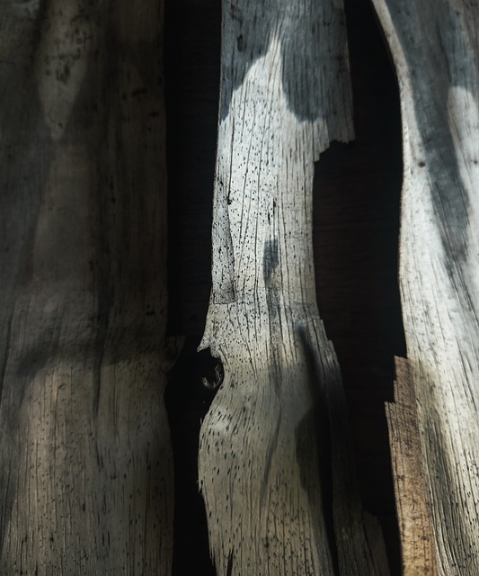 Free download wood texture background old aged free picture to be edited with GIMP free online image editor